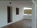 Impressionnante grande maison avec 2ème maison plus piscine et garages in Alicante Dream Homes API 1122