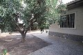 Detached Villa with a pool in Elche in Alicante Dream Homes