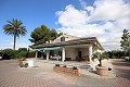Villa Independiente con piscina en Elche in Alicante Dream Homes API 1122