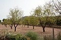 Oude finca volledig gerenoveerd met zwembad en originele bodega in Alicante Dream Homes API 1122