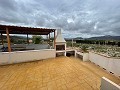 Belle villa Pinoso location in Alicante Dream Homes API 1122