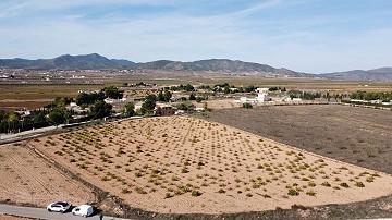 Building plot of land in Paredon, Pinoso