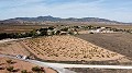 Building plot of land only for new build, in Paredon, Pinoso in Alicante Dream Homes API 1122