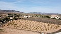 Building plot of land only for new build, in Paredon, Pinoso in Alicante Dream Homes API 1122