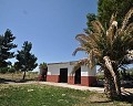 Villa met 5 slaapkamers en 2 badkamers met een zwembad in Alicante Dream Homes API 1122