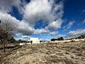 Terre dans Salinas - Revente in Alicante Dream Homes API 1122