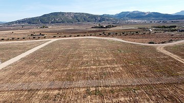 Building plot near Pinoso with stunning views, only for new build villa