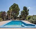 Stunning villa in Monovar in Alicante Dream Homes