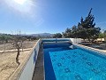 3-Bett-Villa mit Blick auf den Pool und die Burg in Alicante Dream Homes API 1122