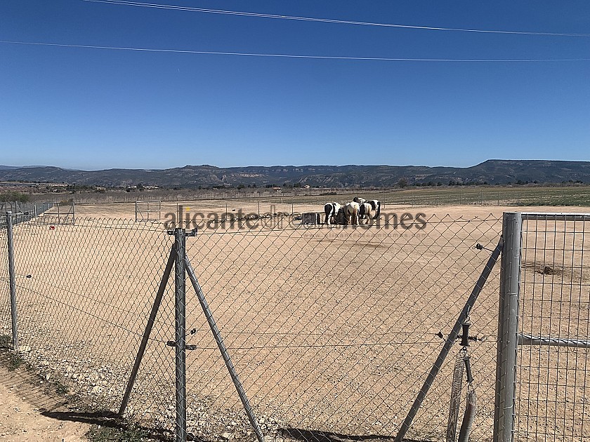 Beautiful Equestrian Property with stunning views in Alicante Dream Homes