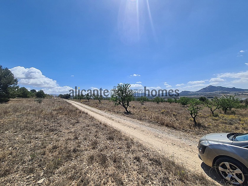 16.200 m2 Grundstück in Sax - Santa Eulalia in Alicante Dream Homes