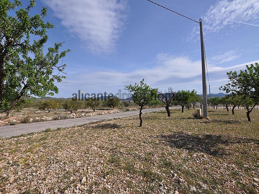 Legales Baugrundstück mit Stadtwasser und Strom in Salinas bei Sax in Alicante Dream Homes