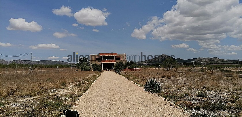Construction d'une énorme partie à Salinas près de Sax in Alicante Dream Homes