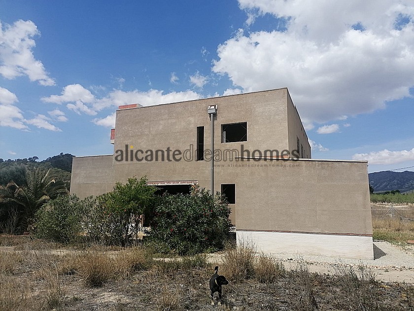 Construction d'une énorme partie à Salinas près de Sax in Alicante Dream Homes