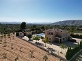 Grande maison exécutive de 5 chambres avec piscine 10x5 in Alicante Dream Homes API 1122