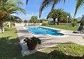 Beautiful 4 Bedroom Villa in Elda  in Alicante Dream Homes API 1122