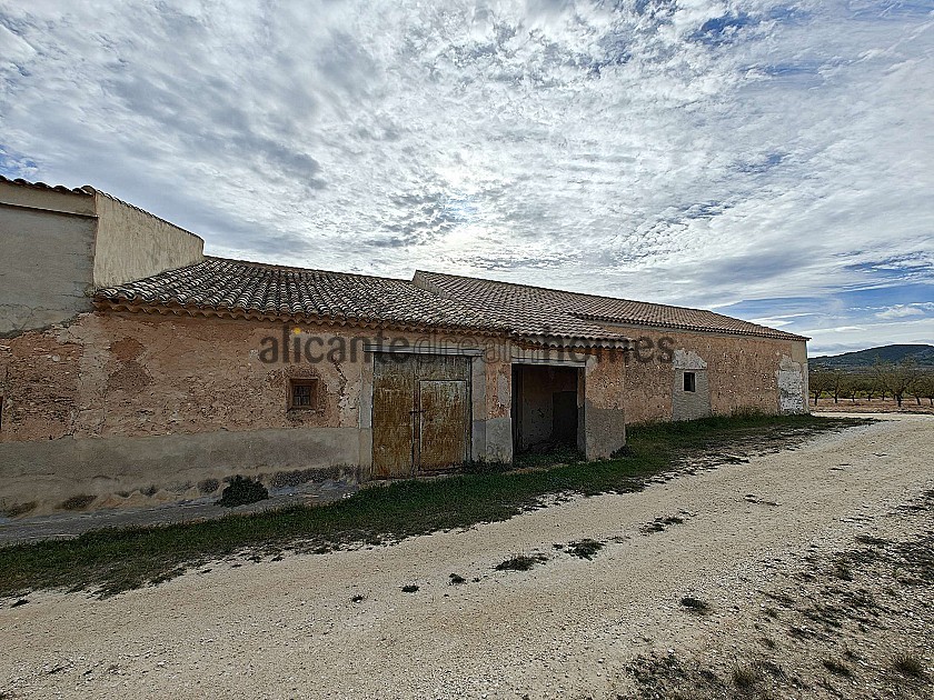 Grande maison historique et bodega à Pinoso in Alicante Dream Homes