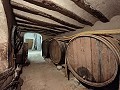 Grande maison historique et bodega à Pinoso in Alicante Dream Homes API 1122