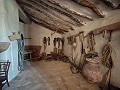 Grande maison historique et bodega à Pinoso in Alicante Dream Homes API 1122