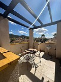Villa in Hondon de las Nieves in Alicante Dream Homes API 1122