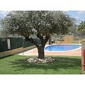 3 Bedroom Villa With Communal Pool And Guest Apartment in Alicante Dream Homes API 1122