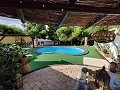 Vrijstaande villa op loopafstand van Monovar in Alicante Dream Homes API 1122