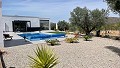Villa casi nueva de 3/4 dormitorios con piscina, garaje doble y trastero. in Alicante Dream Homes API 1122