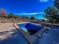 Schönes Landhaus mit Pool in Monóvar in Alicante Dream Homes API 1122