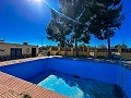 Charming country house in between Sax and Elda in Alicante Dream Homes API 1122