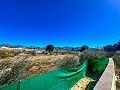 Charmantes Landhaus zwischen Sax und Elda in Alicante Dream Homes API 1122