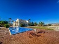 Luxury tradicional villa in Novelda  in Alicante Dream Homes API 1122