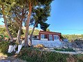 Country House in Rural Location in Alicante Dream Homes API 1122
