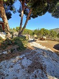 Landhaus in ländlicher Lage in Alicante Dream Homes API 1122