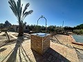 Mooi landhuis met zwembad in Agost in Alicante Dream Homes API 1122