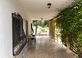 Villa mit 3 Schlafzimmern und 1 Bad in toller Lage mit Pool und Gästehaus auf 2 Etagen in Sax in Alicante Dream Homes API 1122