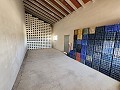 1-Zimmer-Villa zur Fertigstellung auf 23.000 m2 Grundstück in Alicante Dream Homes API 1122