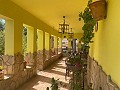 Villa met 3 bedden en 2 badkamers Loop naar de stad in Novelda in Alicante Dream Homes API 1122