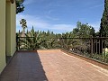 Villa avec 3 chambres et 2 salles de bains à pied de la ville de Novelda in Alicante Dream Homes API 1122