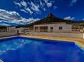 Villa de 4 chambres avec piscine de 12m et garage double proche Aspe in Alicante Dream Homes API 1122
