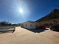 Villa de 4 dormitorios con piscina de 12m y garaje doble cerca de Aspe in Alicante Dream Homes API 1122
