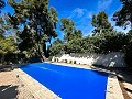 Schönes Landhaus mit Pool in Almansa in Alicante Dream Homes API 1122