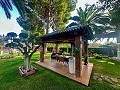 Magnifique demeure de luxe à Elda in Alicante Dream Homes API 1122