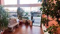Wonderful duplex with terrace in Elche in Alicante Dream Homes API 1122