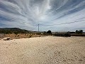 Schönes Grundstück in perfektem Zustand in Yecla in Alicante Dream Homes API 1122