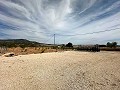 Schönes Grundstück in perfektem Zustand in Yecla in Alicante Dream Homes API 1122