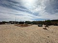Beau terrain en parfait état à Yecla in Alicante Dream Homes API 1122
