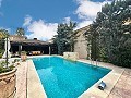 Incroyable demeure de luxe à Elda in Alicante Dream Homes API 1122