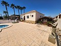 Villa de 3 chambres et 2 salles de bains à Catral avec piscine et accès asphalté in Alicante Dream Homes API 1122