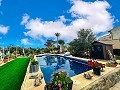 Villa with stunning views and pool in Alicante Dream Homes API 1122
