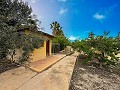 Prachtige villa met zwembad en 5 slaapkamers in Sax in Alicante Dream Homes API 1122